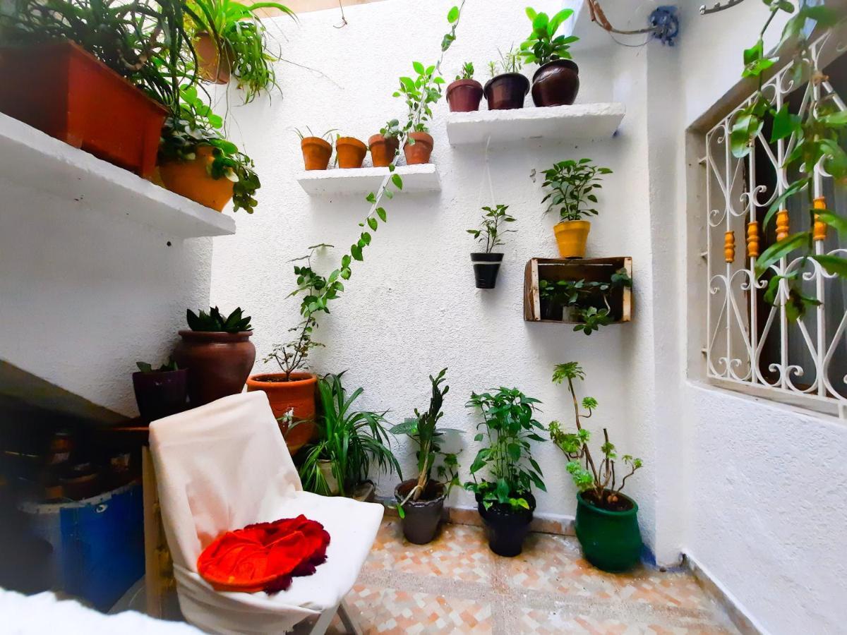 Dar Ayoub - Entire House Near Palais Marchan - Updated 2024 Tanger Ngoại thất bức ảnh